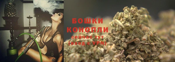 спайс Чита
