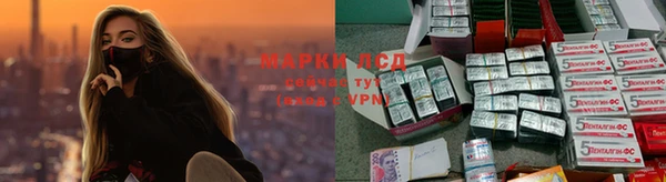 спайс Чита