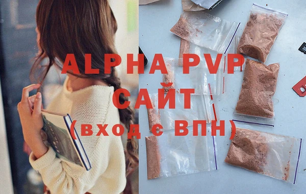 спайс Чита