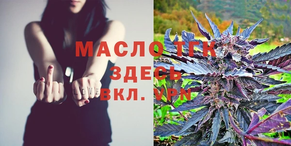 спайс Чита