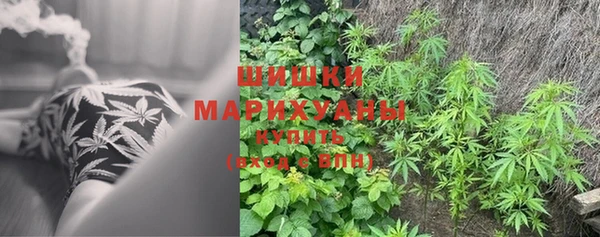 бошки Архангельск