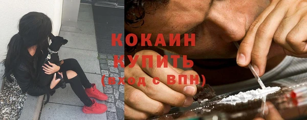 спайс Чита