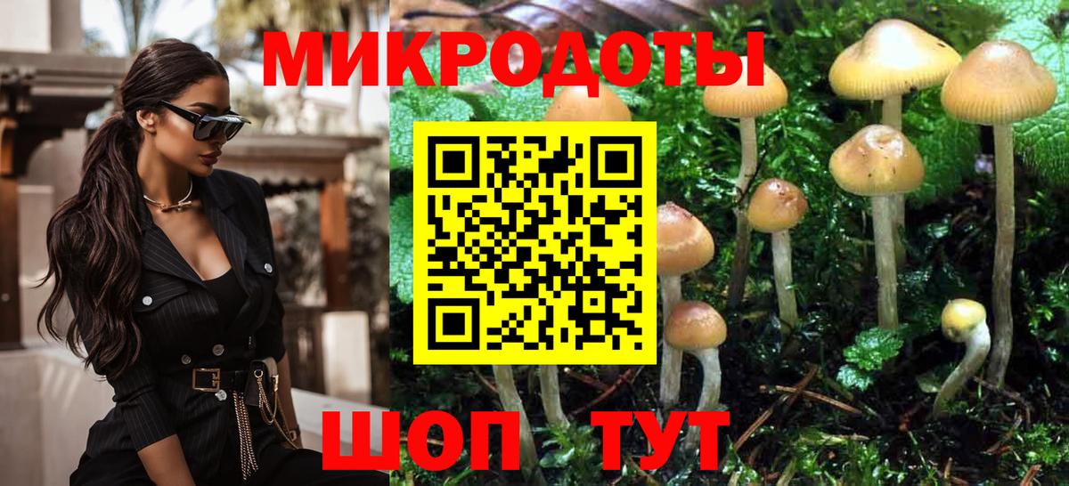 Псилоцибиновые грибы GOLDEN TEACHER  Вход с VPN  Алатырь 