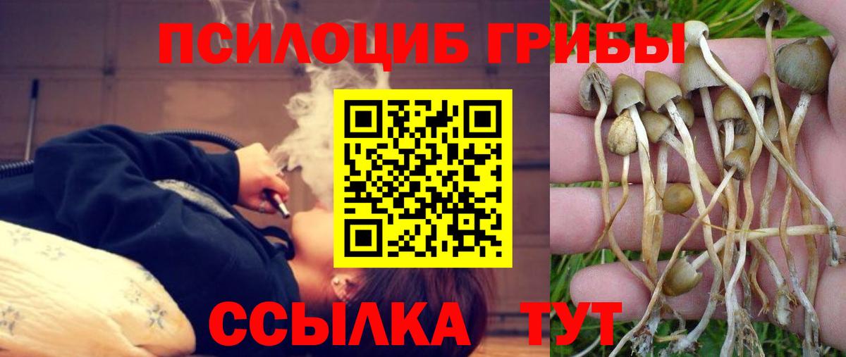 Галлюциногенные грибы прущие грибы Алатырь