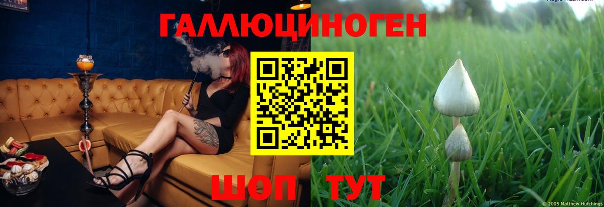 Галлюциногенные грибы Cubensis  Алатырь  Псилоцибиновые грибы GOLDEN TEACHER 