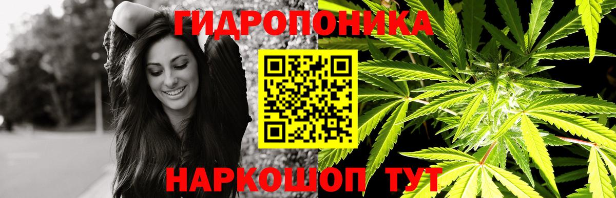 Конопля сатива  Марихуана семена  Шишки марихуана THC 21%  Вход с VPN  Алатырь 